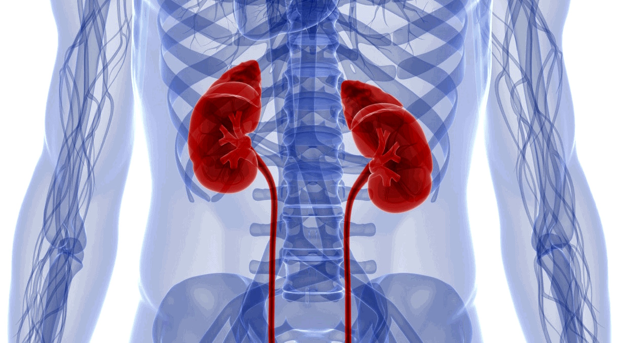 Как искусственный интеллект в сервисе «ДокторЧат» помогает расшифровать анализы и замедлить прогрессирование хронической болезни почек?